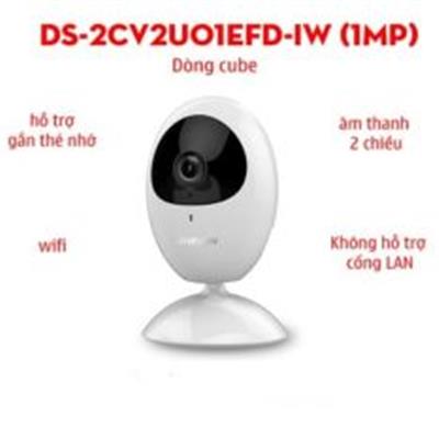 Camera IP DS-2CV2U01EFD-IW